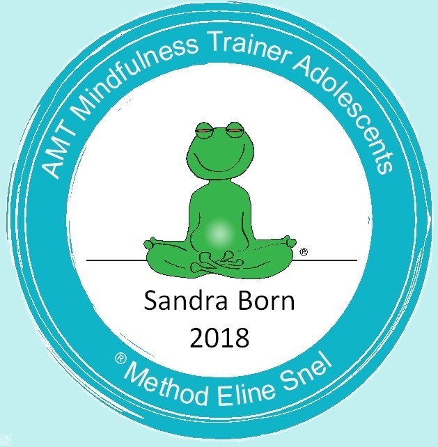 Certificate Academy for Mindful Teaching - Method Eline Snel